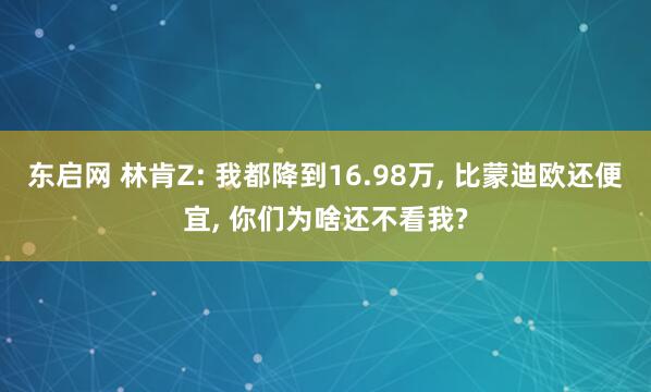 东启网 林肯Z: 我都降到16.98万, 比蒙迪欧还便宜, 你们为啥还不看我?