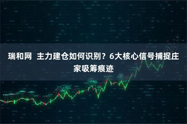 瑞和网  主力建仓如何识别？6大核心信号捕捉庄家吸筹痕迹