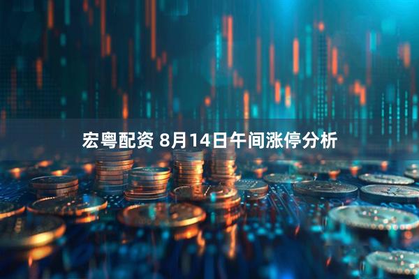 宏粤配资 8月14日午间涨停分析